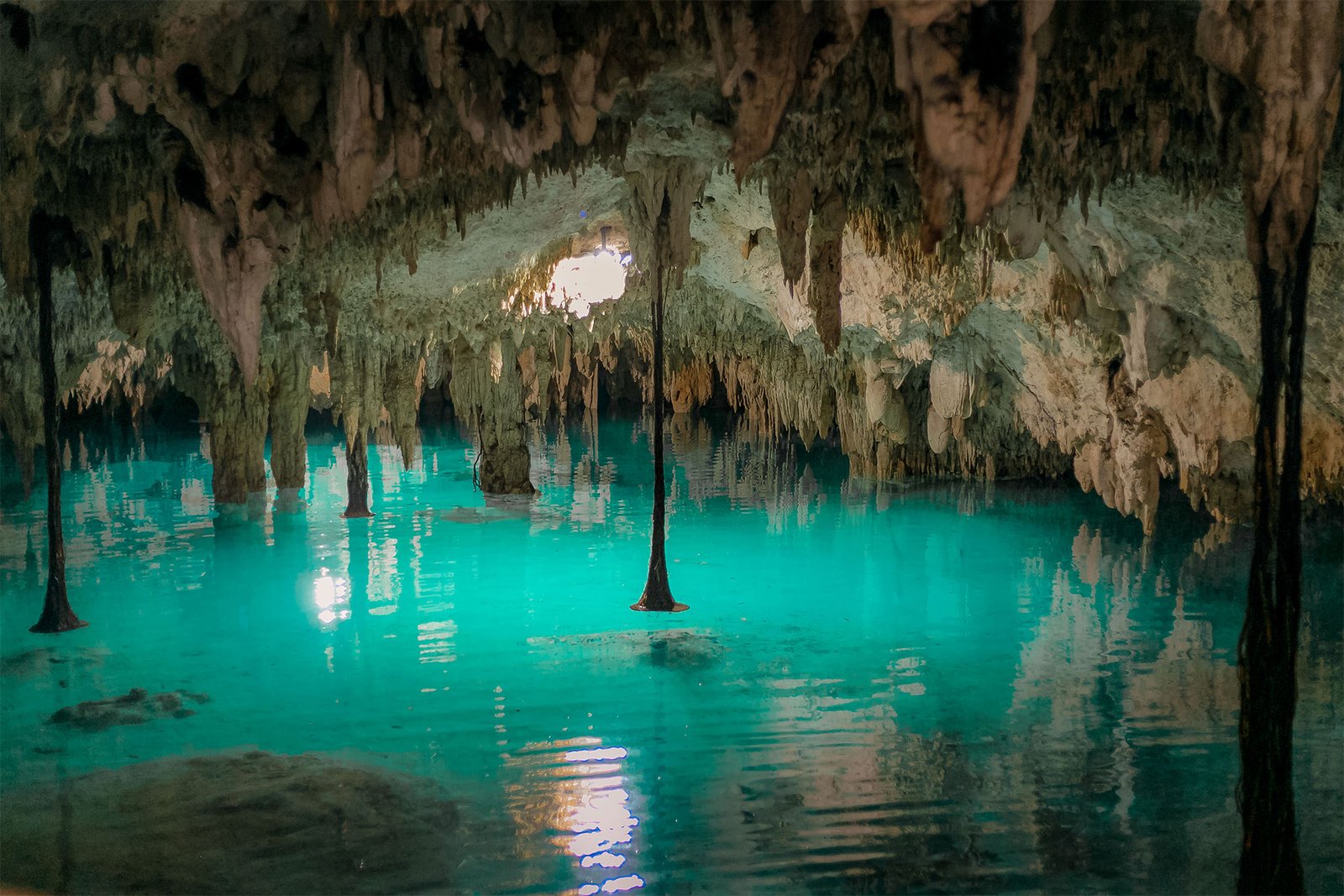 Hidden Cenotes Adventure