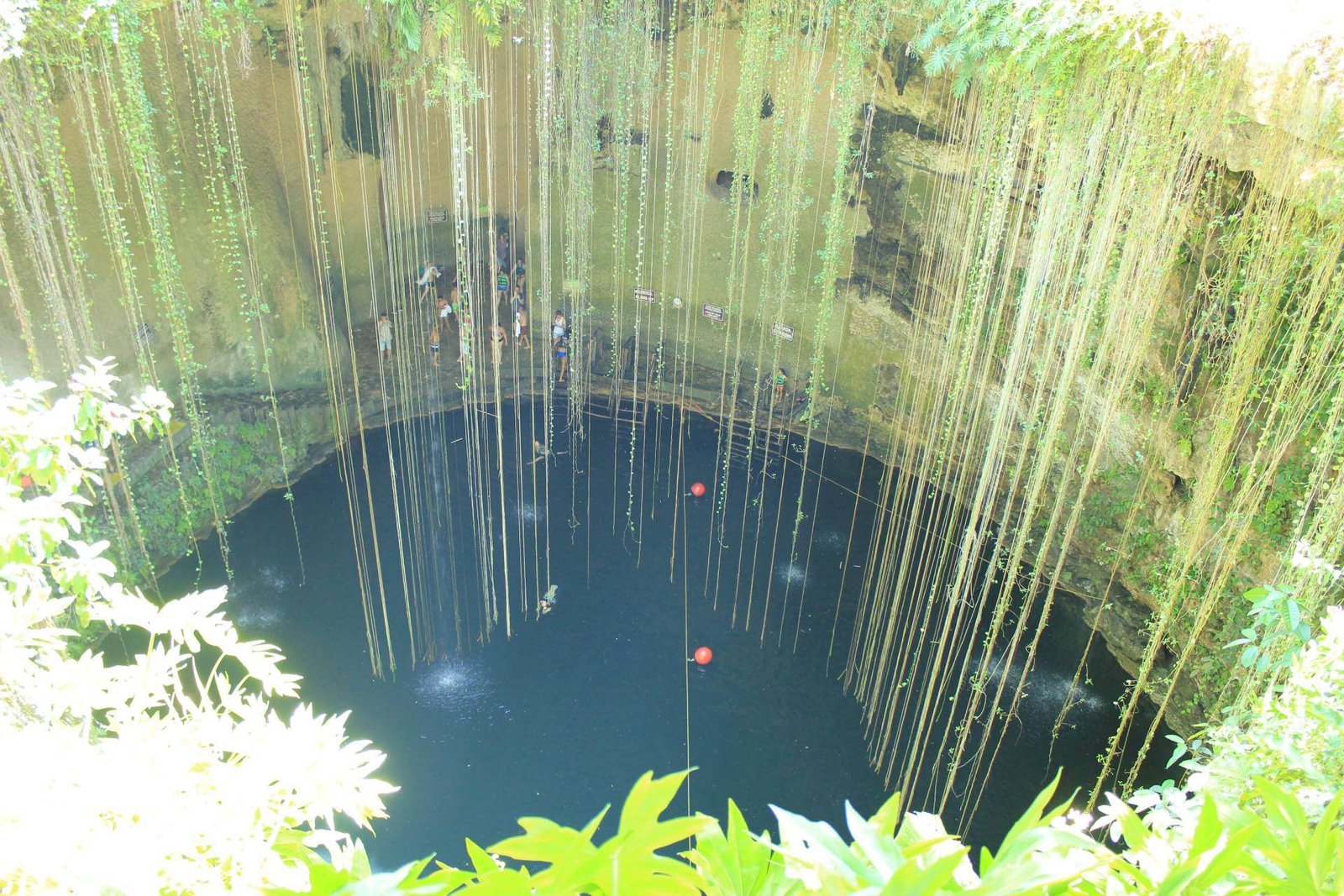 Chichen Itza, Valladolid & Cenote photo 12