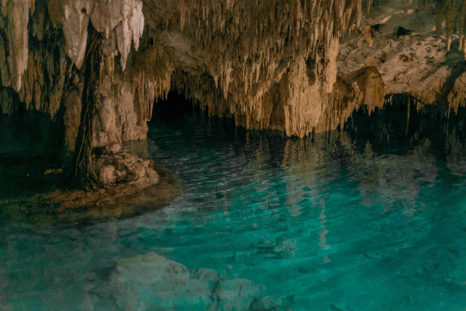 Tulum Mayan Ruins & Cenote photo 5