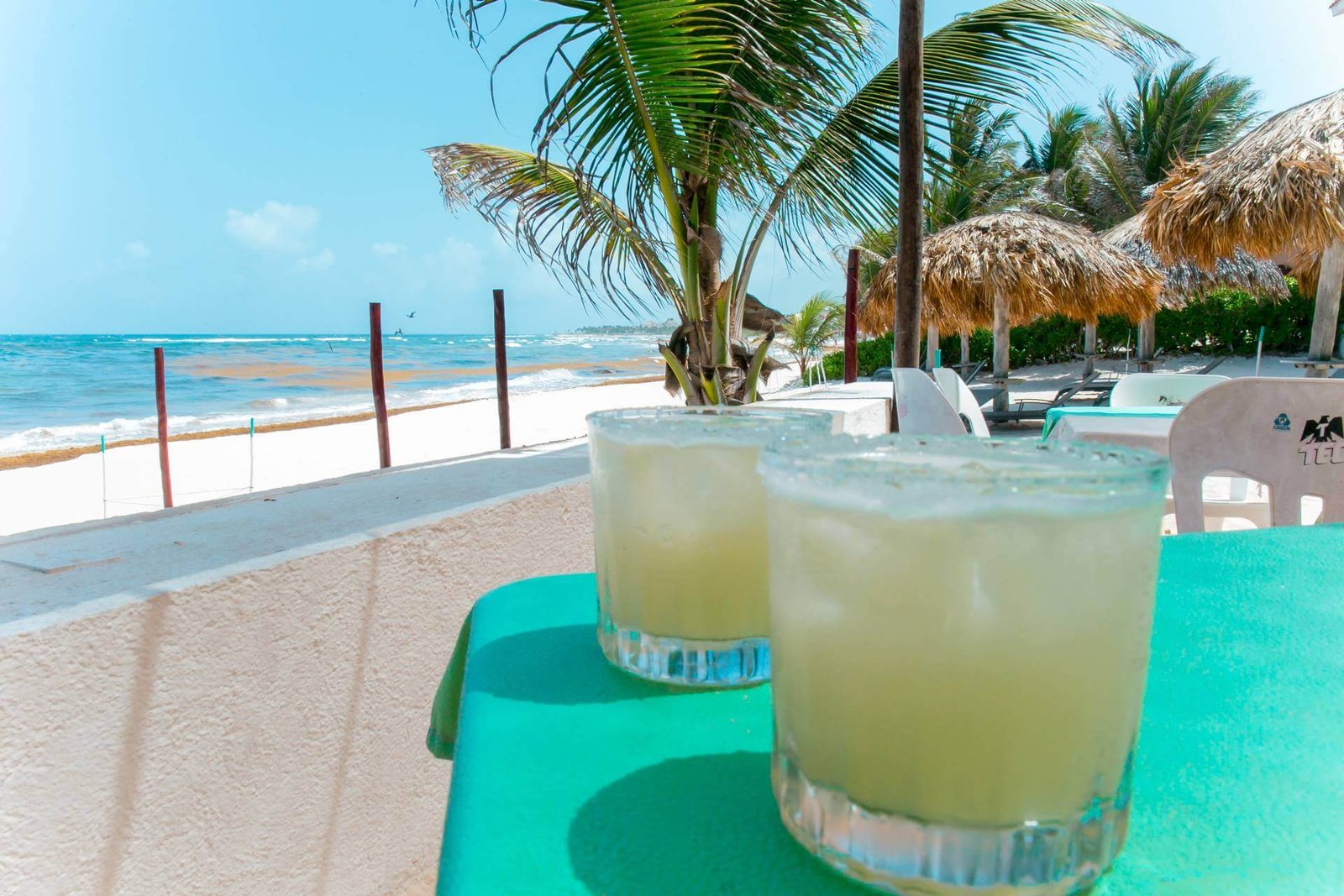 Tulum Mayan Ruins & Cenote photo 11